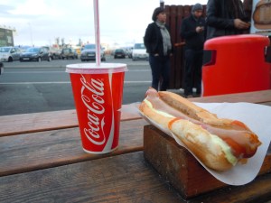 Icelandic hot dog-- a must-try!