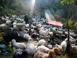 Watch out, the path's slippery.