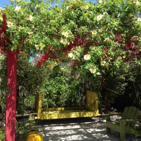 Some News from Katie on the&nbsp;Map