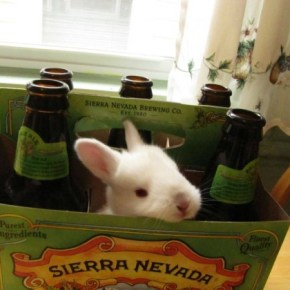 Thirsty Thursday: Celebrate National IPA&nbsp;Day