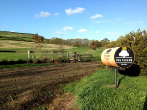 At Van Dieman brewing, Will Tatchell is creating tasty brews from the hops up.